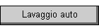 Lavaggio auto